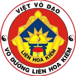 Viet Vo Dao