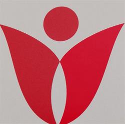 CENTRO MEDICO AMARYLLIS