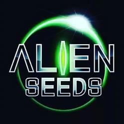 Growshop Alien Seeds