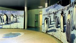 Museo nazionale dell'Antartide Felice Ippolito