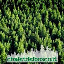 Chalet Del Bosco