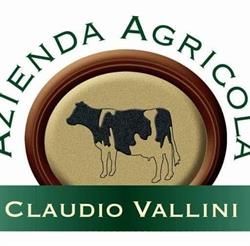 Agriturismo Vallini Claudio