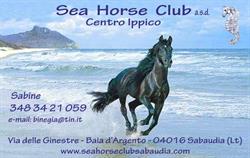 Sea Horse Club