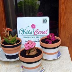 VILLA CAROL