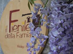 Il Fienile della Farnia - casa vacanze
