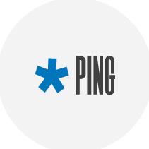Ping srl