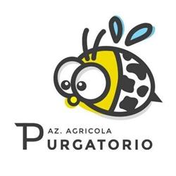 azienda agricola Purgatorio