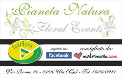 Pianeta Natura Floral Events