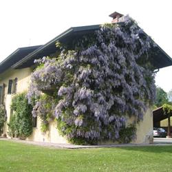Antica Cascina del Medico