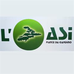 L'Oasi