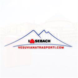 Vesuviana Trasporti