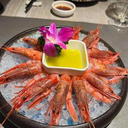 Enjoy Sushi Restaurant