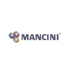 Officina Autoriparazioni Mancini