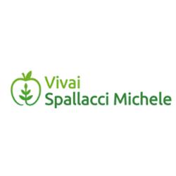 Vivai Spallacci Michele – Alberi da Frutto