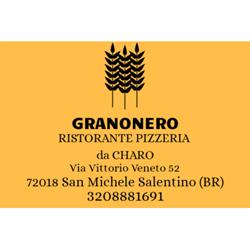 Ristorante pizzeria Granonero