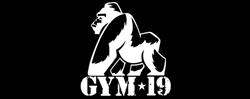 Palestra GYM 19
