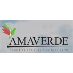 Amaverde - Francesco Limongelli