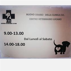 CVL Clinica Veterinaria