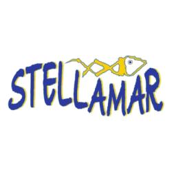 Friggitoria Stellamar Sede Estiva