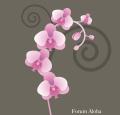 FORUM-ALOHA