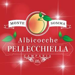 Pellecchiella Monte Somma