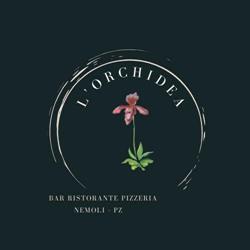 L'Orchidea