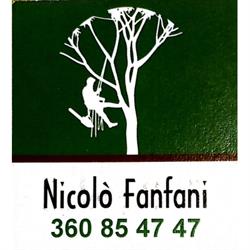 Tree Help di Fanfani Nicolo’