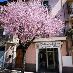 Bimbi Sotto L'Albero