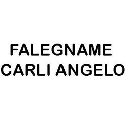 Il Falegname
