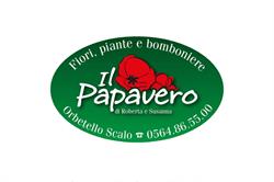 Fiori - Piante e Bomboniere Il Papavero
