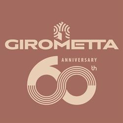Girometta Mario Srl - Tetti, Case e Porte in Legno