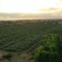 Drone campagna