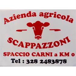 Azienda Agricola Scappazzoni - Padivarma