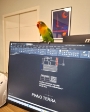 In ufficio