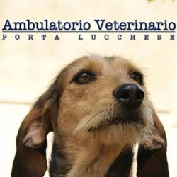 Ambulatorio Veterinario Porta Lucchese