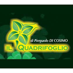 Il Quadrifoglio di Pierpaolo di Cosimo | Giardinaggio - Potatura Alberi - Scavi