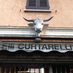 STORICA MACELLERIA CURTARELLI DI CURTARELLI SIMONE & C. S.A.S.