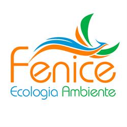 Fenice