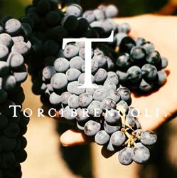 TORCIBRENCOLI SOCIETA' AGRICOLA S.S.