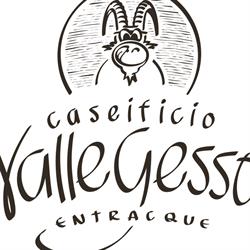 CASEIFICIO VALLE GESSO DI AIME WALTER