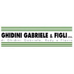 Ghidini Gabriele e Figli
