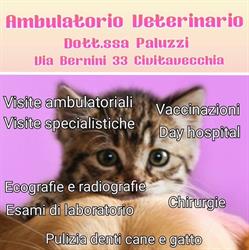 AMBULATORIO VETERINARIO DOTT.SSA ILARIA SILVIA PALUZZI
