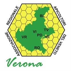 Associazione Regionale Apicoltori del Veneto - Verona