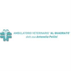 Ambulatorio  Veterinario al Quadrato Valeggio