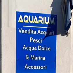 Abissi Di Atlantide Pinerolo