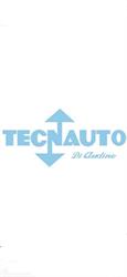 Tecnauto S.A.S. di Audino Leonardo & C.