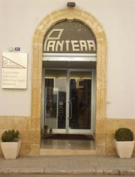Pantera