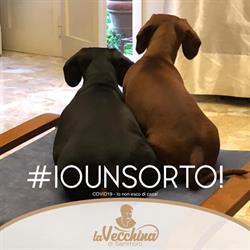 Ambulatorio Veterinario La Castellina