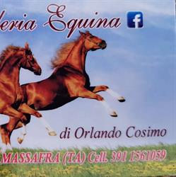 Macelleria Equina Orlando Cosimo