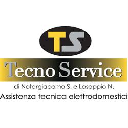 Tecnoservice snc di Notargiacomo S e Losappio N